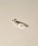 Arc Line Pierce［Stainless］