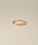 Dual Line Hoop Pierce［Stainless］
