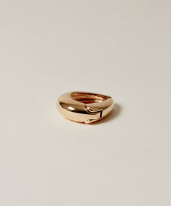 Oval Earring