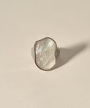 Shell Signet Ring［Stainless］