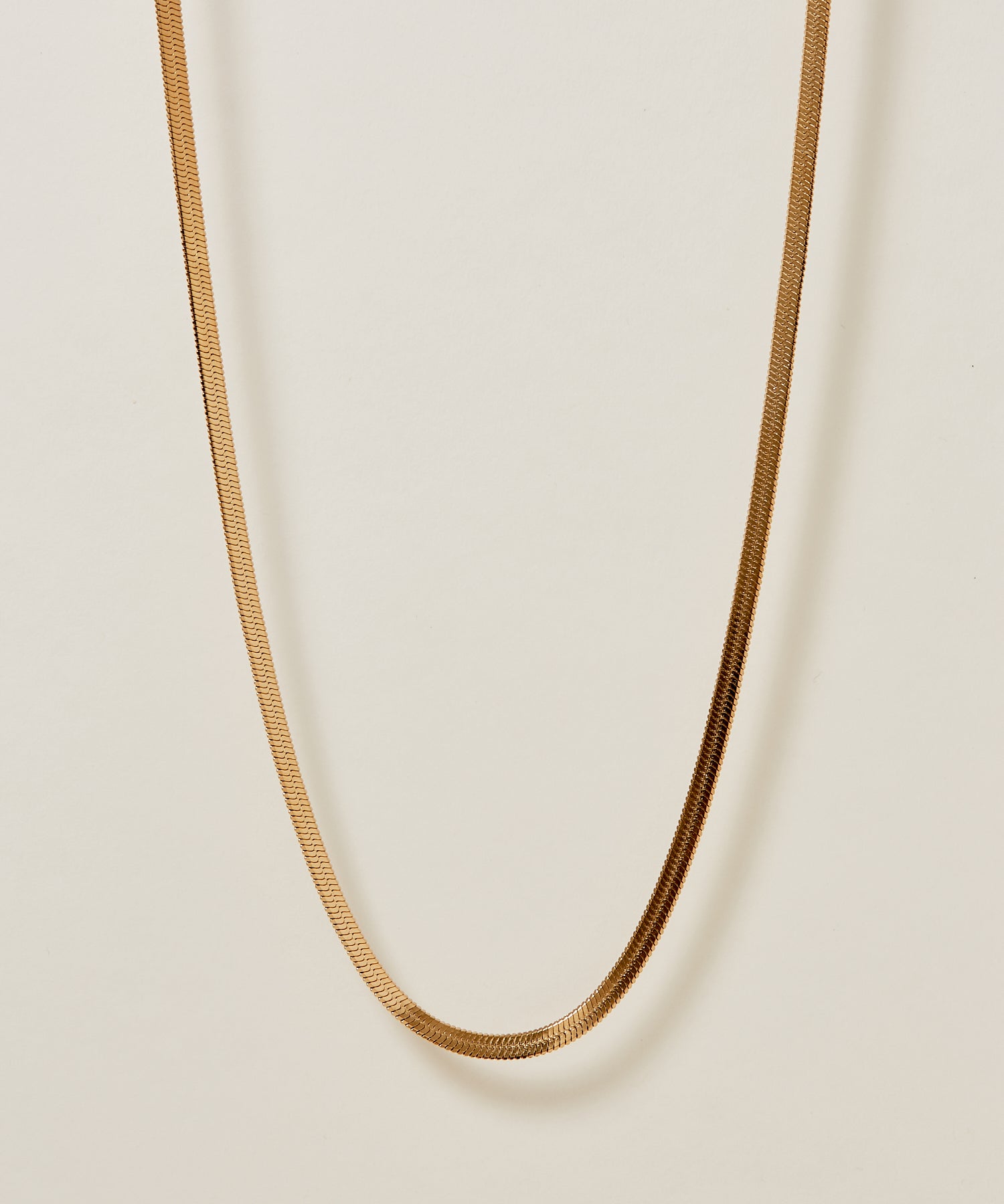 Snake Chain Necklace [Stainless] | Affordable necklace mail order