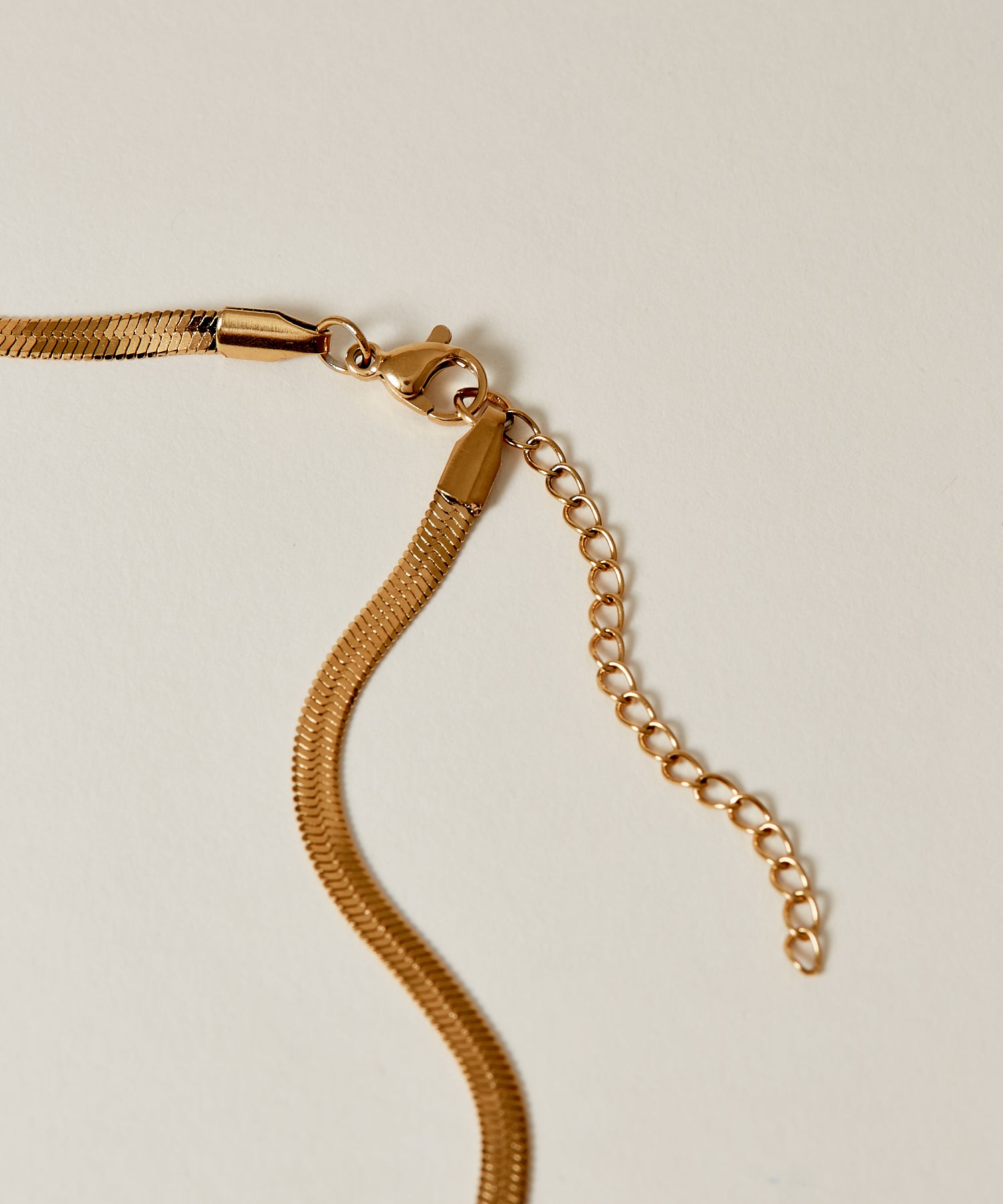 Snake Chain Necklace [Stainless] | Affordable necklace mail order